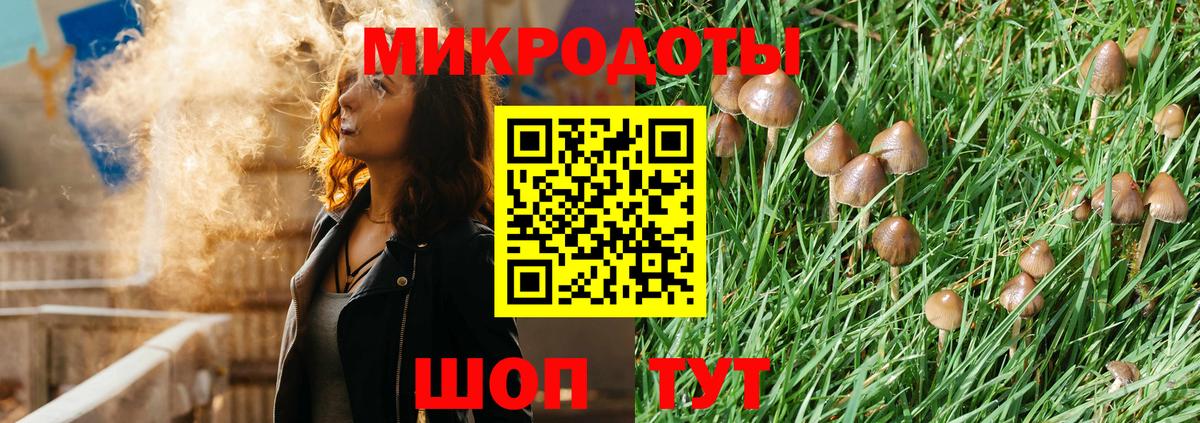 Галлюциногенные грибы мухоморы Котлас