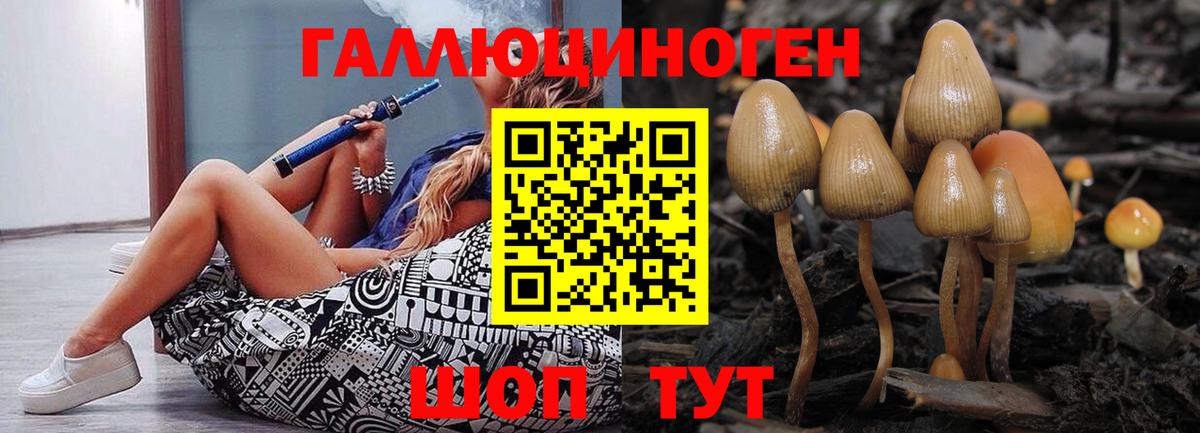 Котлас  Псилоцибиновые грибы прущие грибы  Галлюциногенные грибы MAGIC MUSHROOMS  Вход с VPN 